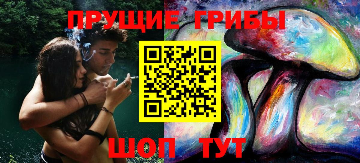 Нерюнгри  Галлюциногенные грибы прущие грибы  Вход с VPN 